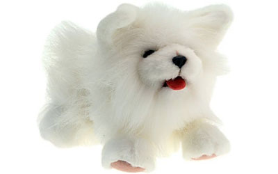 Smoochie Puppy