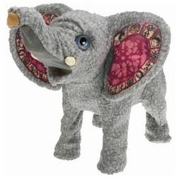 Zambi the Baby Elephant